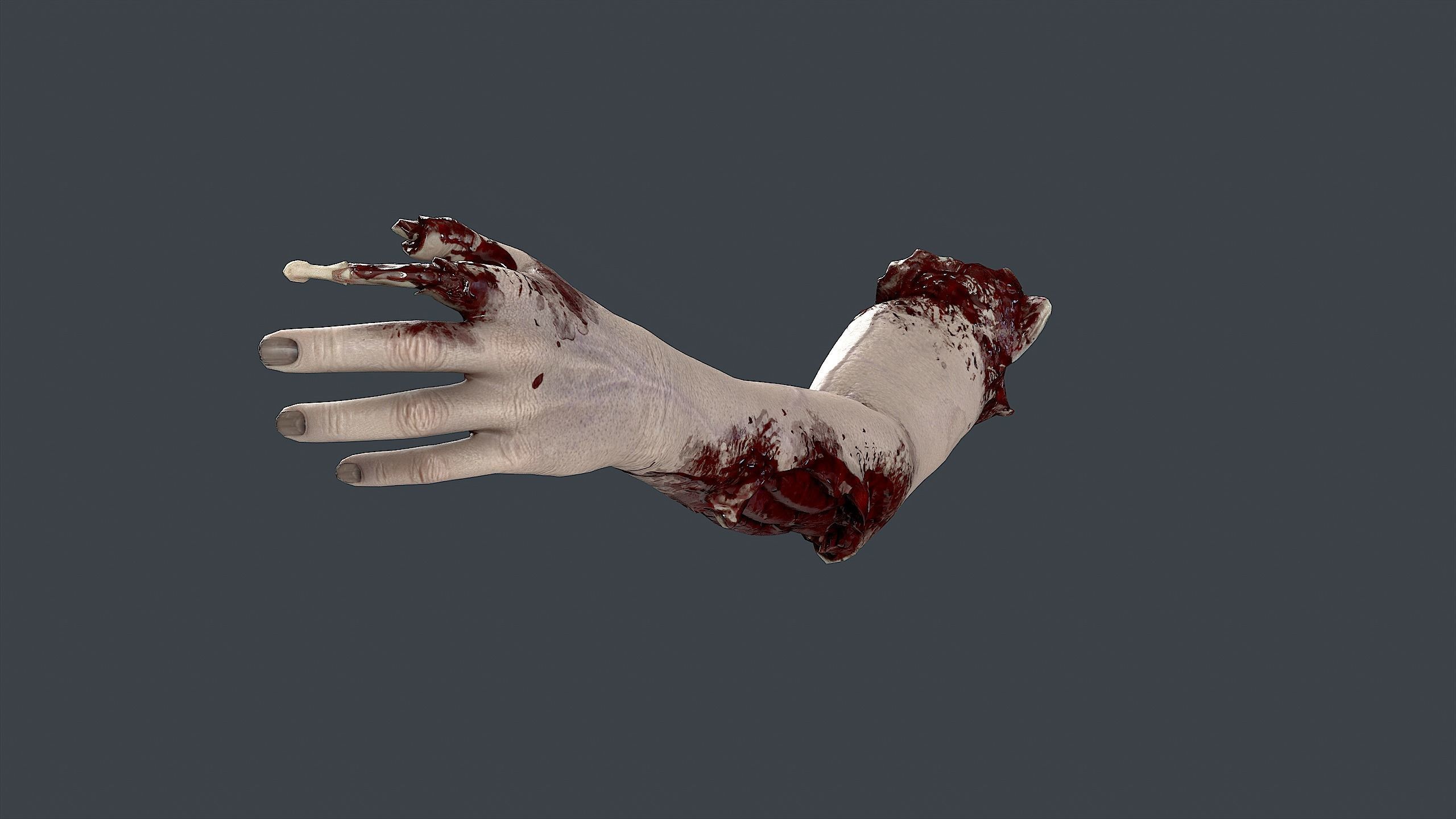 Severed Hand 3 Low-poly 3D model_9