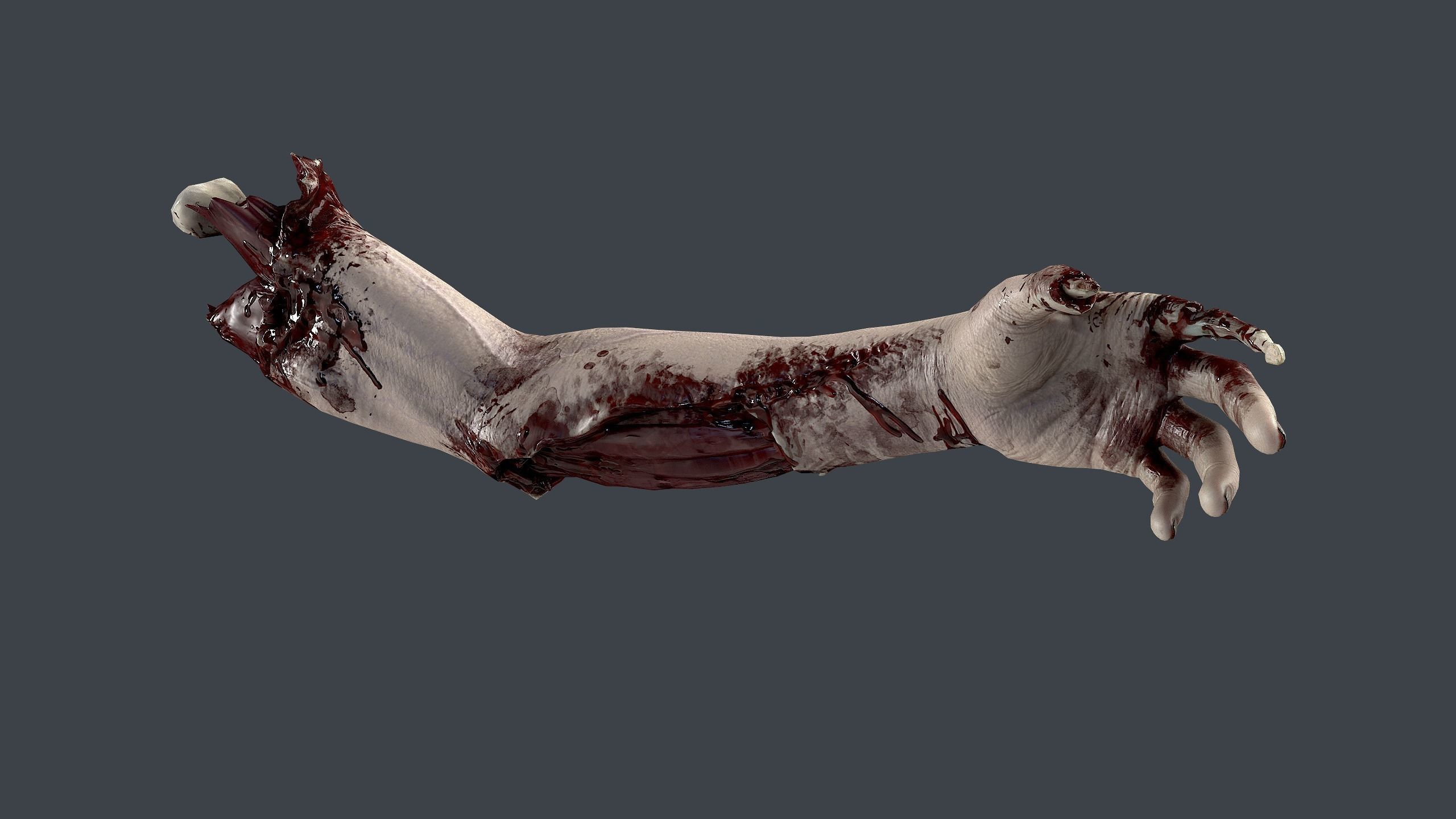 Severed Hand 3 Low-poly 3D model_12