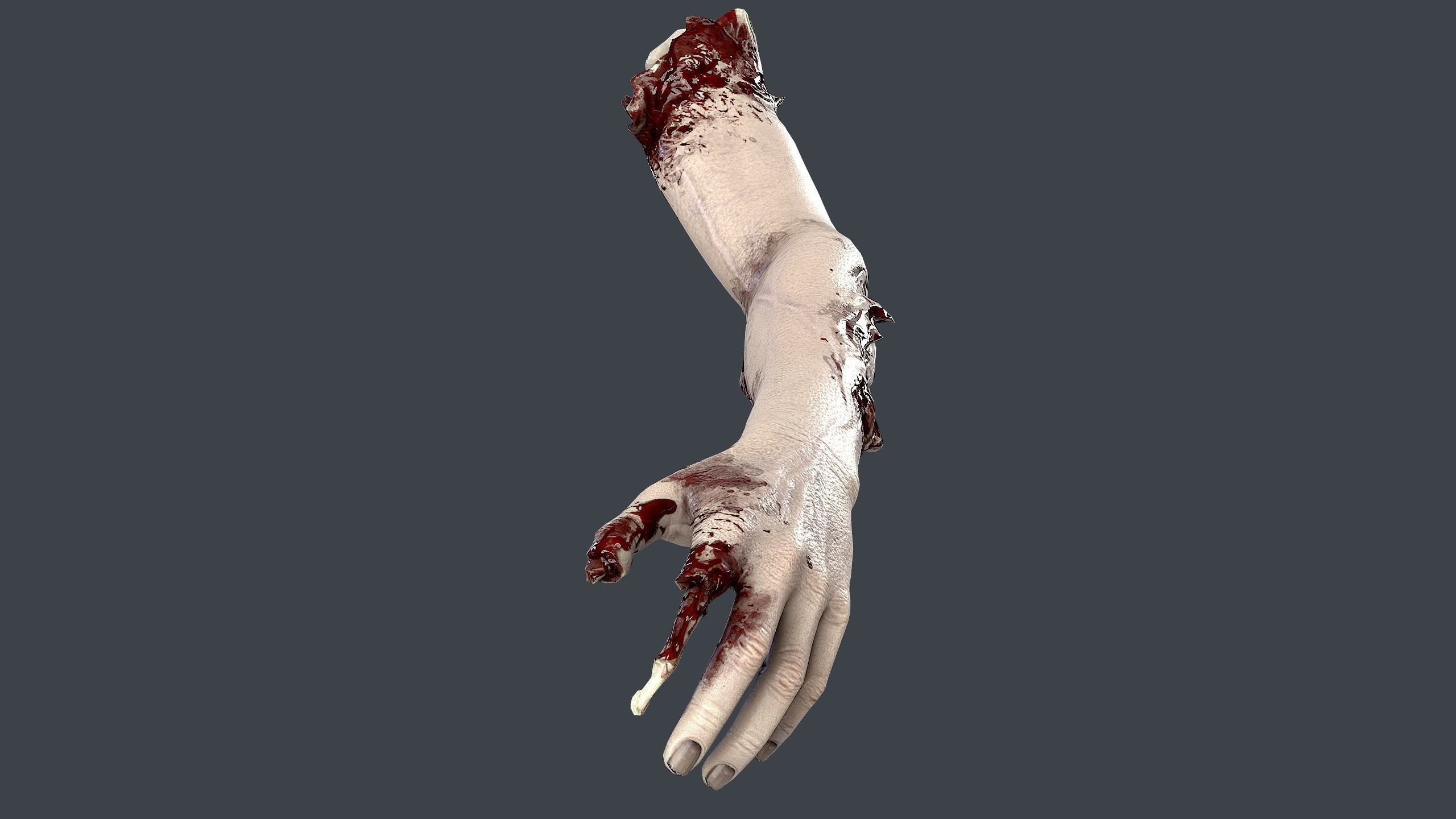 Severed Hand 3 Low-poly 3D model_11