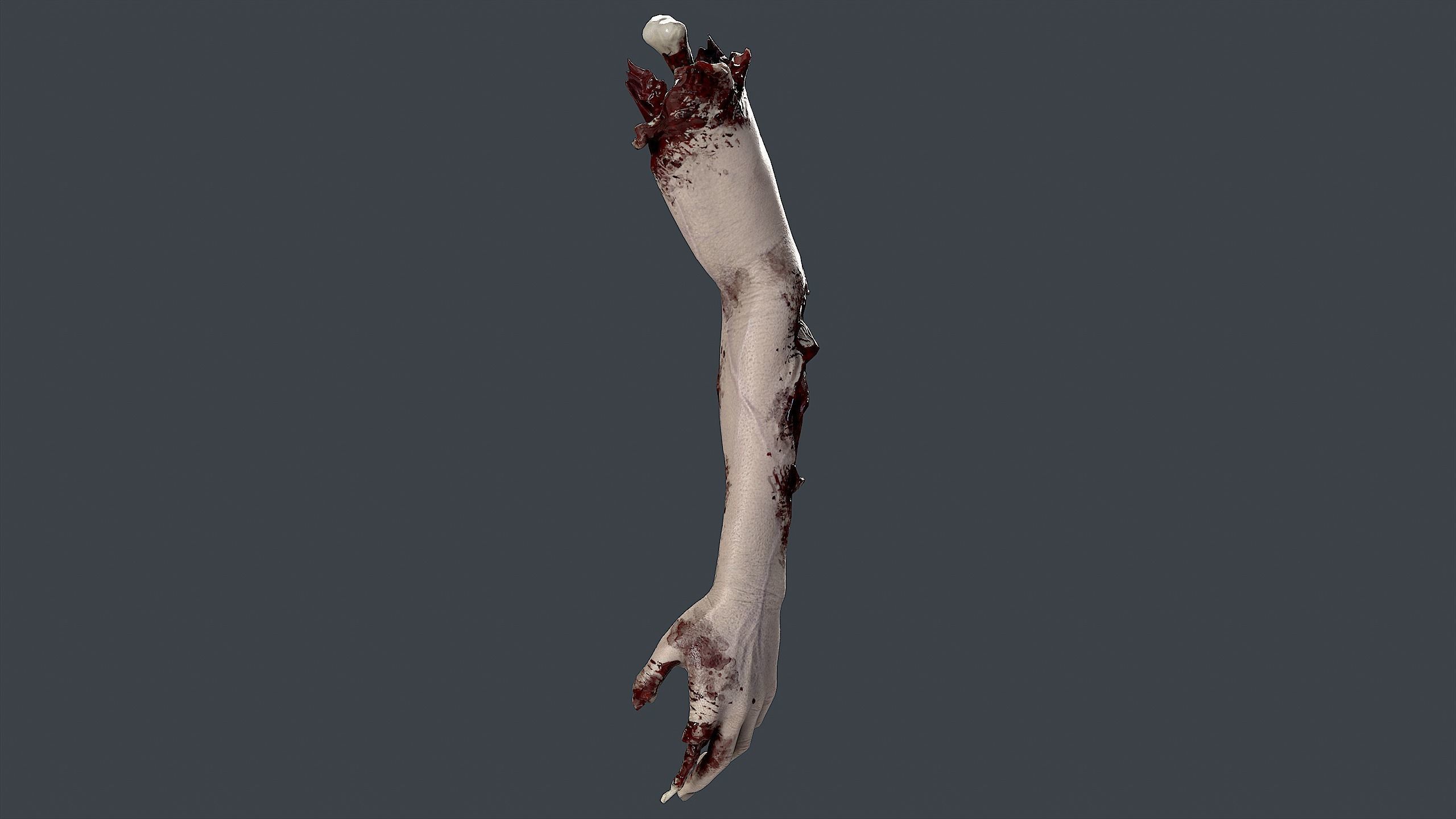 Severed Hand 3 Low-poly 3D model_5