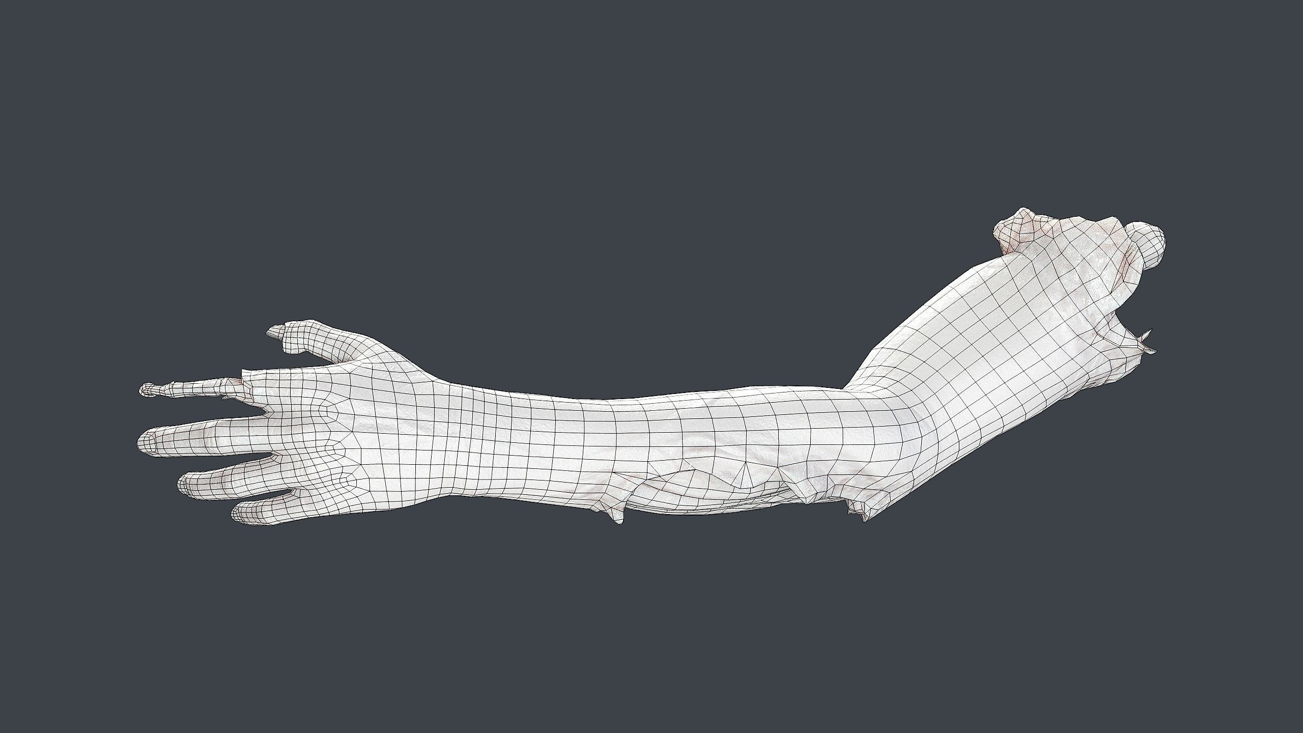 Severed Hand 3 Low-poly 3D model_15