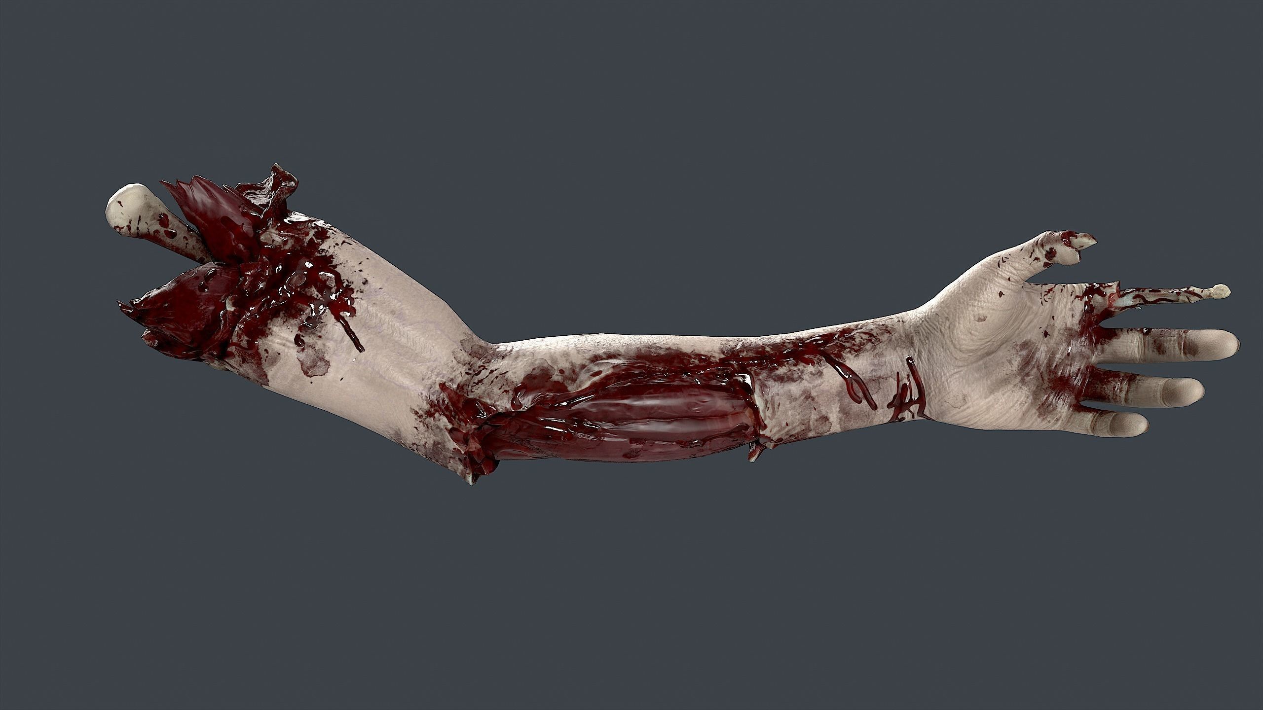 Severed Hand 3 Low-poly 3D model_10