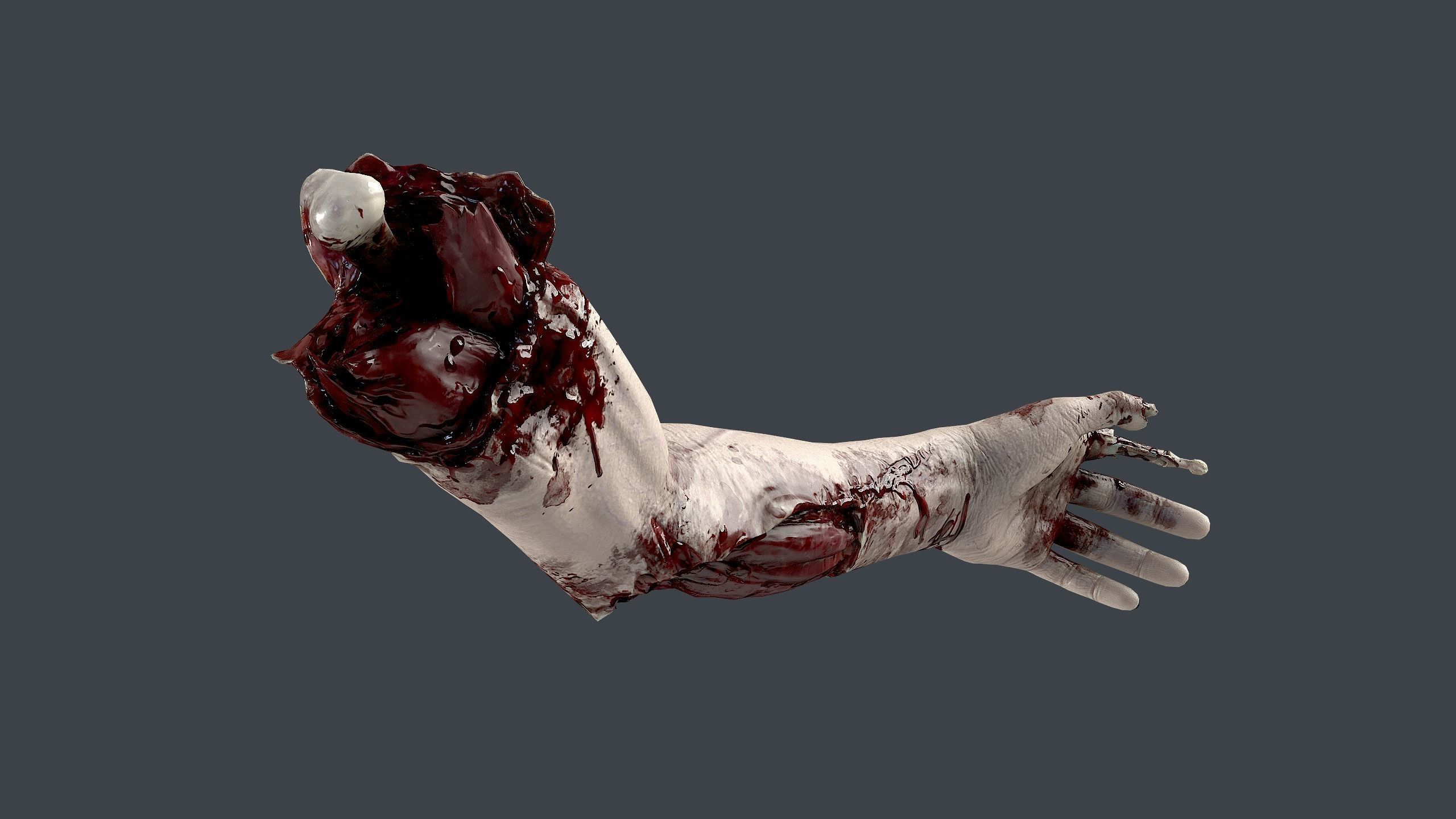 Severed Hand 3 Low-poly 3D model_2