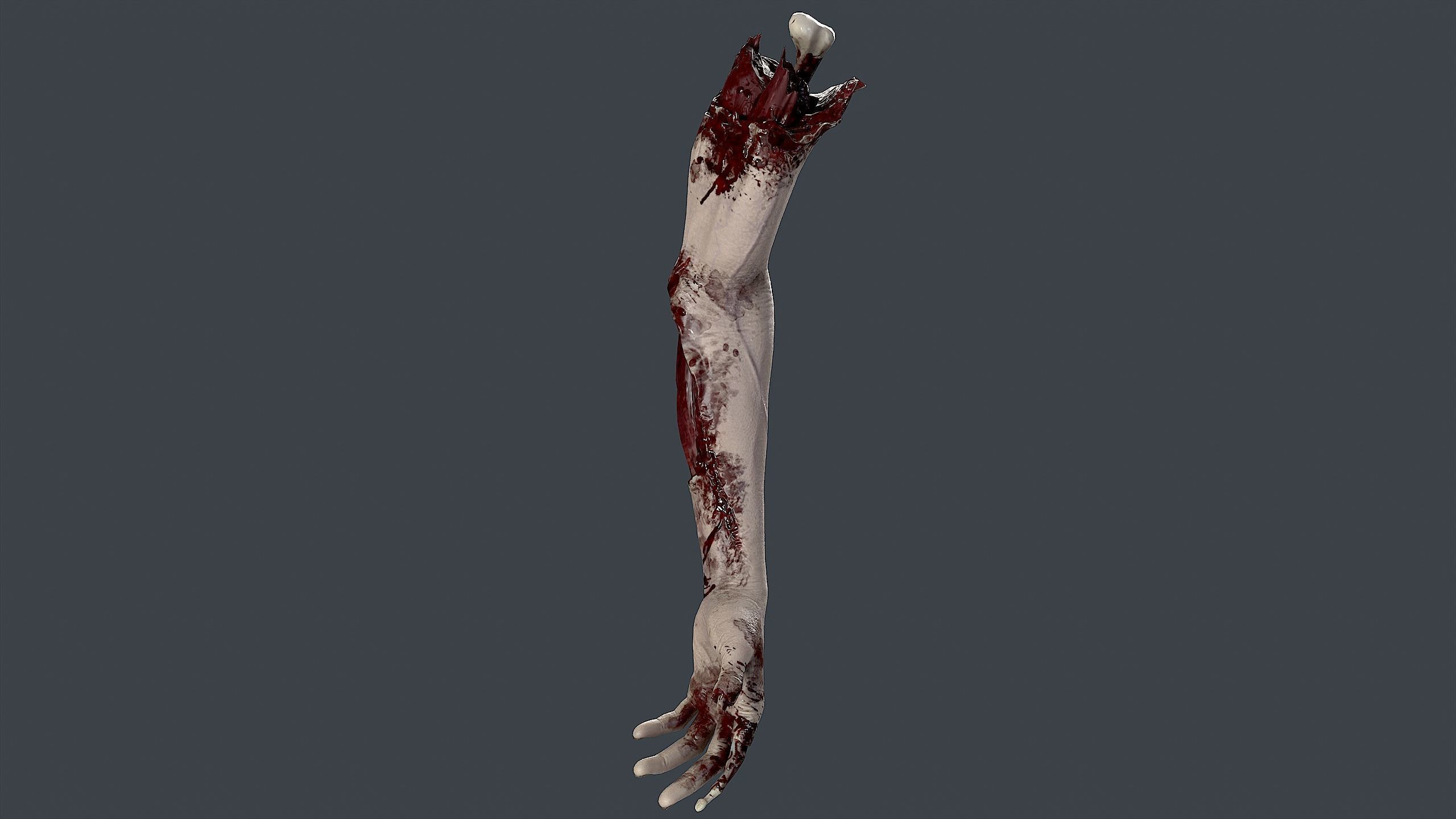 Severed Hand 3 Low-poly 3D model_6