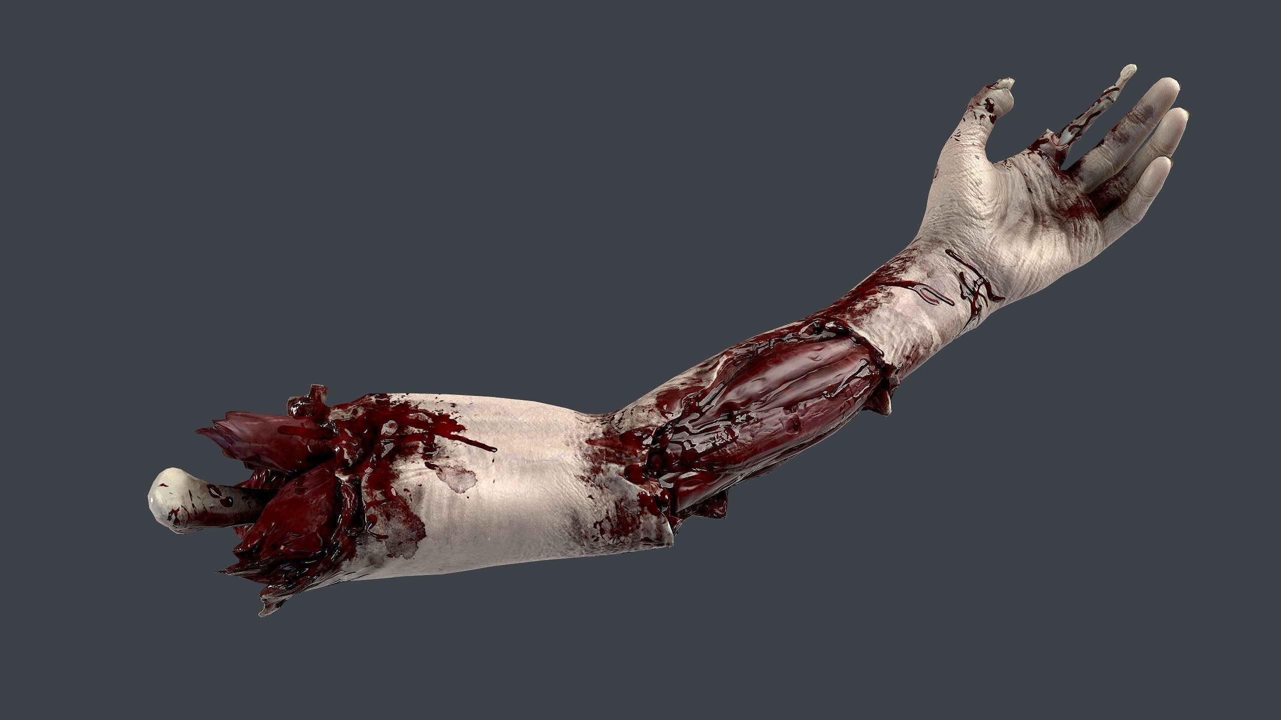 Severed Hand 3 Low-poly 3D model_3