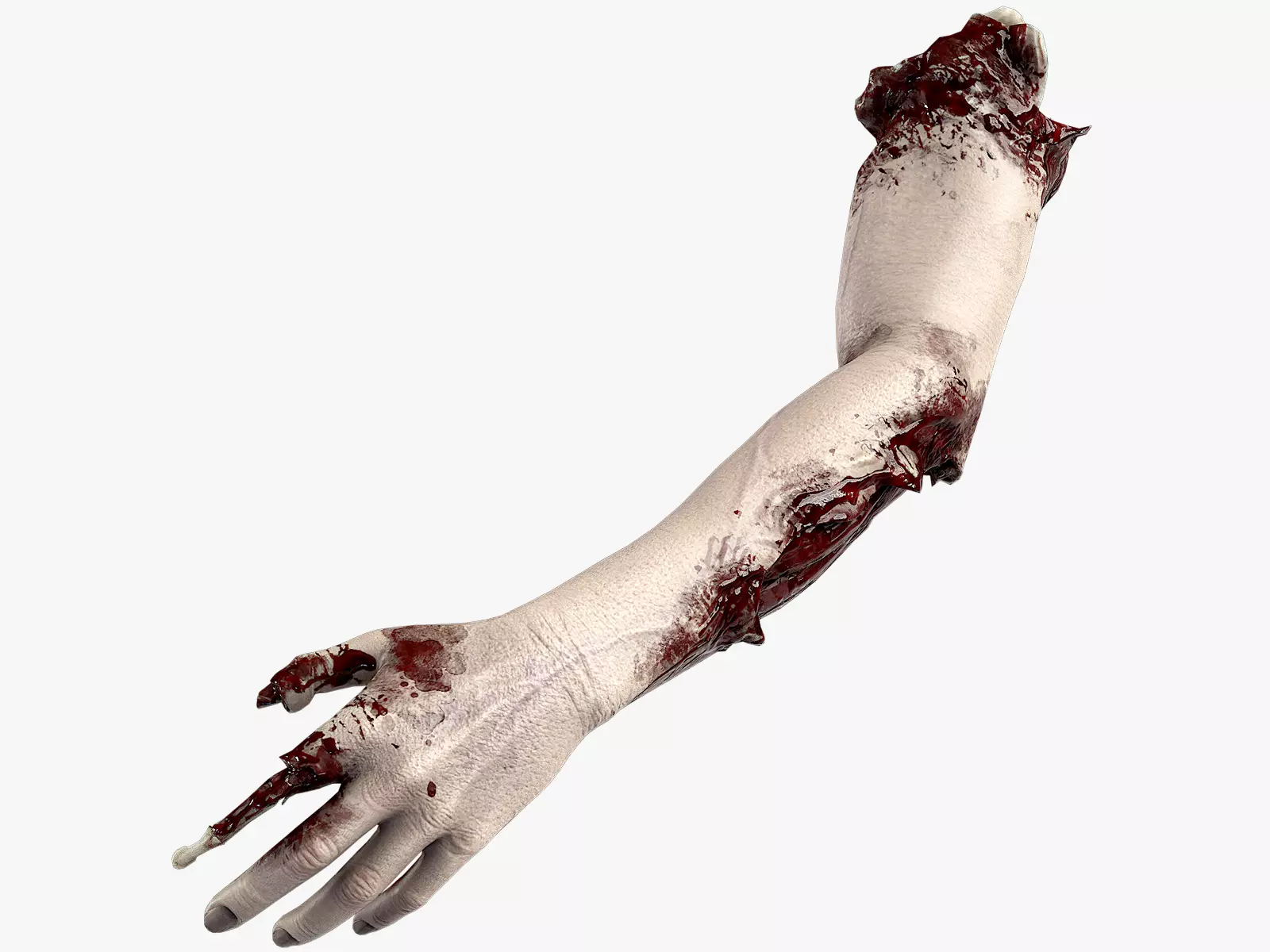 Severed Hand 3 Low-poly 3D model_0