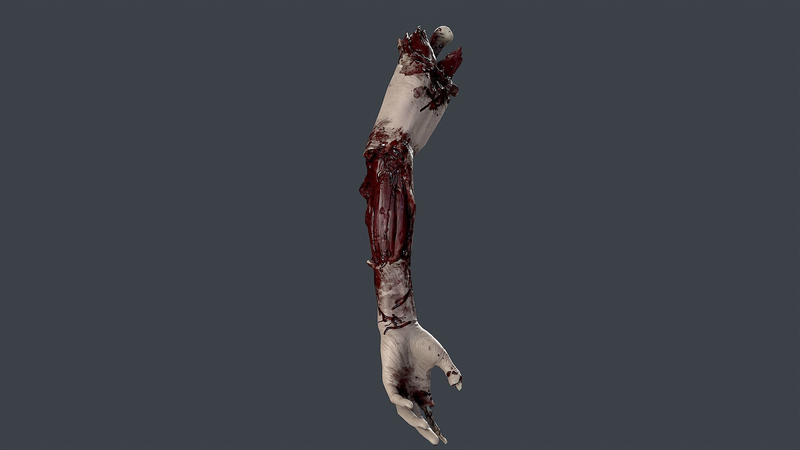 Severed Hand 3 Low-poly 3D model_7