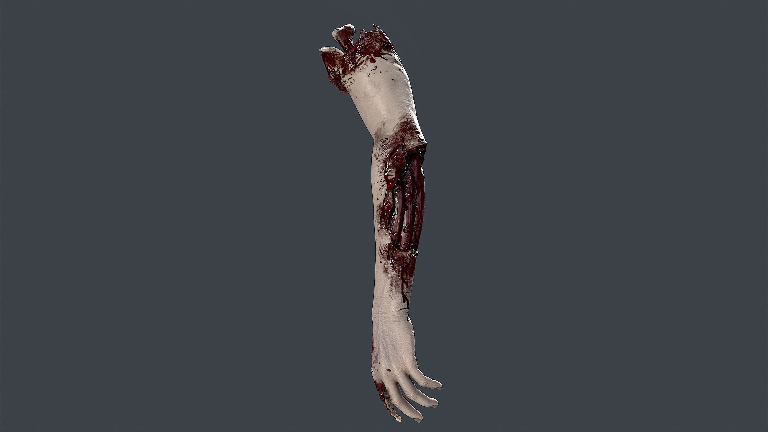 Severed Hand 3 Low-poly 3D model_8