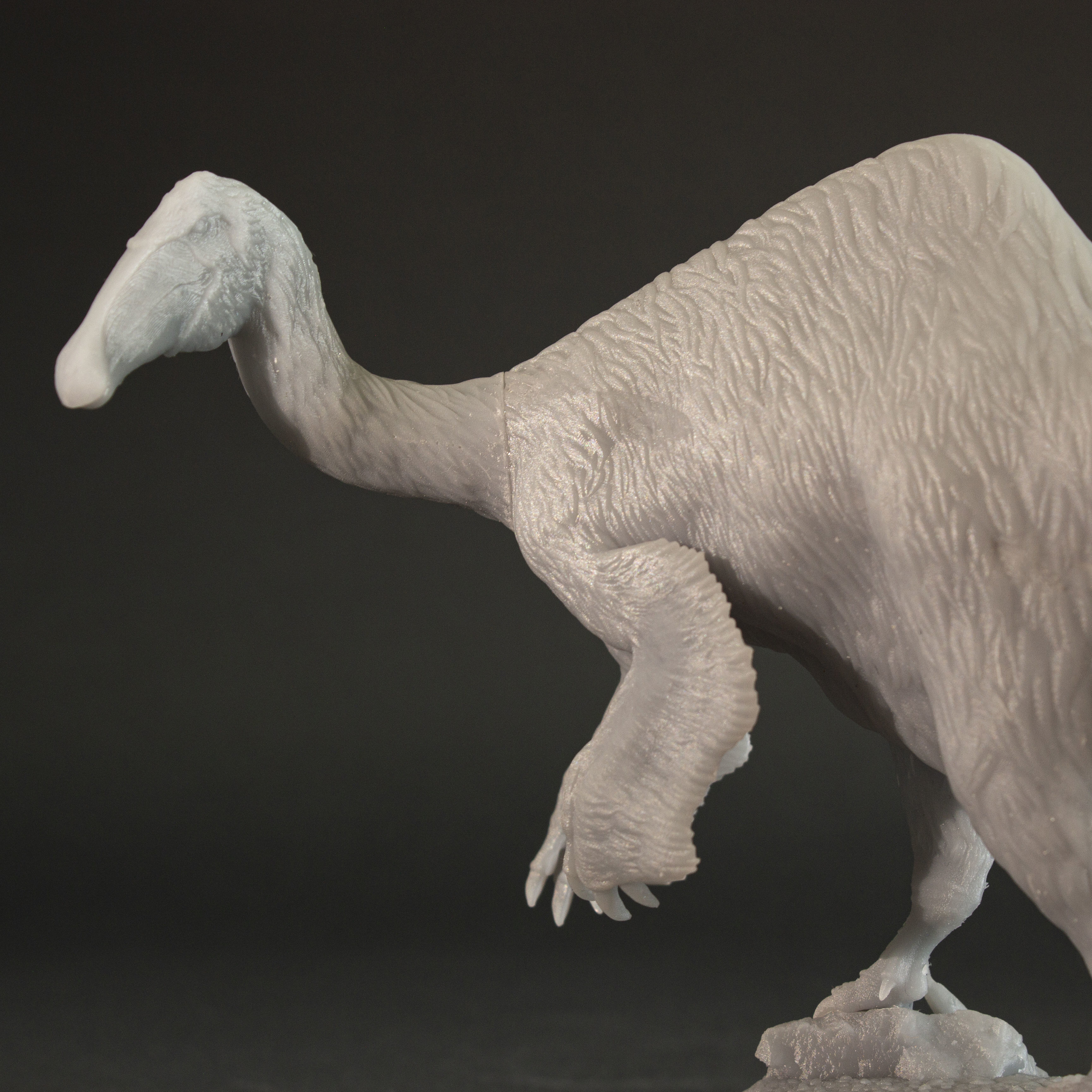 Deinocheirus dinosaur 3D print model_8