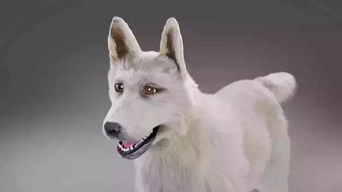 Fur White Dog NO Rig 