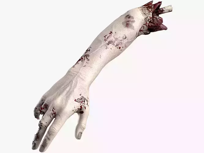 Severed Hand 4