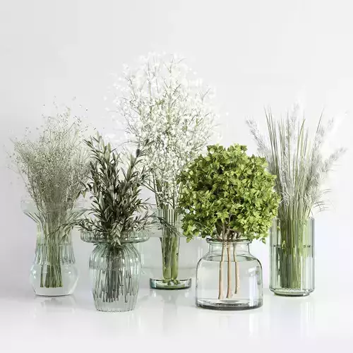 Collection Green Plants Bouquet Indoor 10