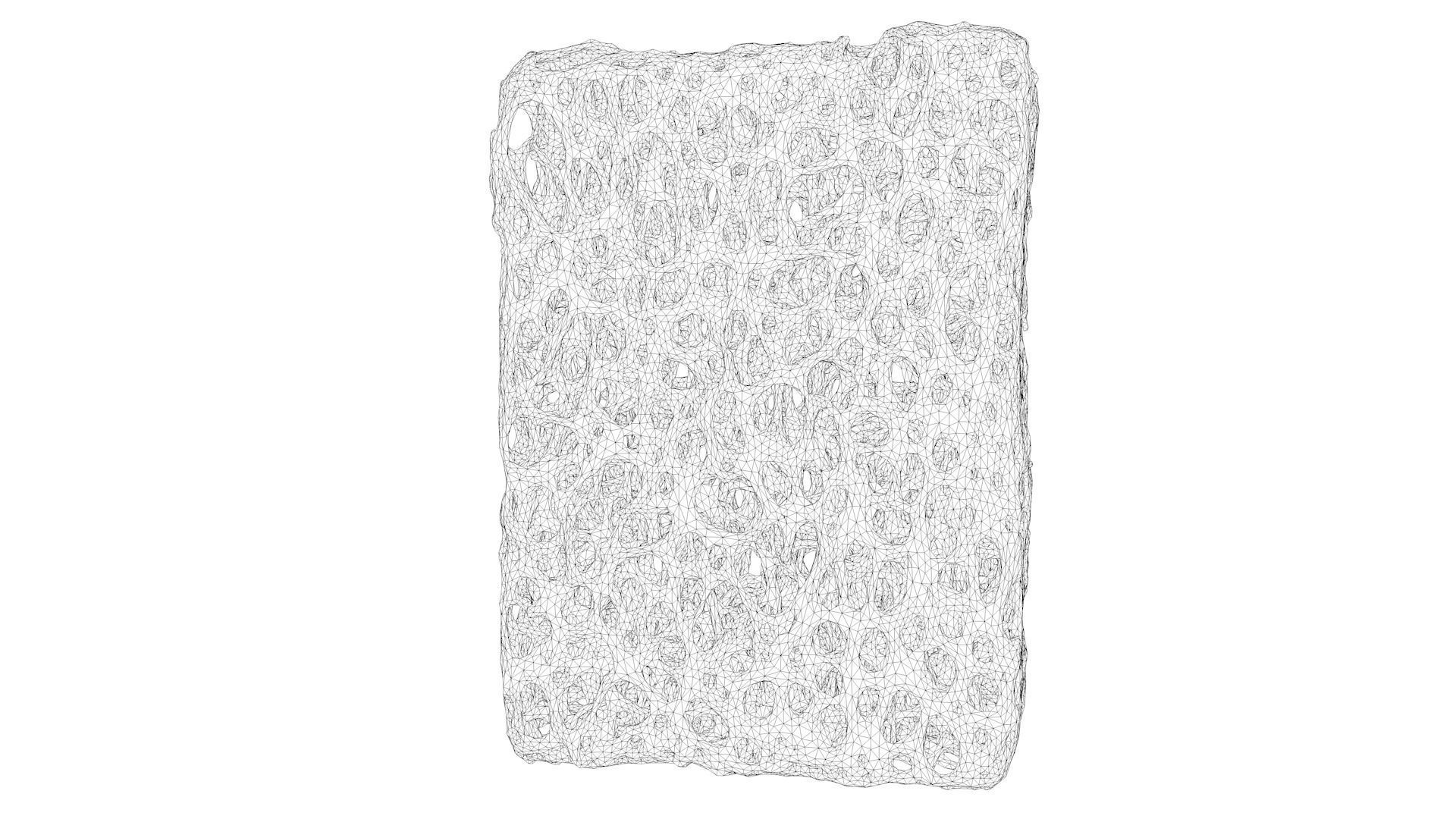 Bone Structure 3D model_5