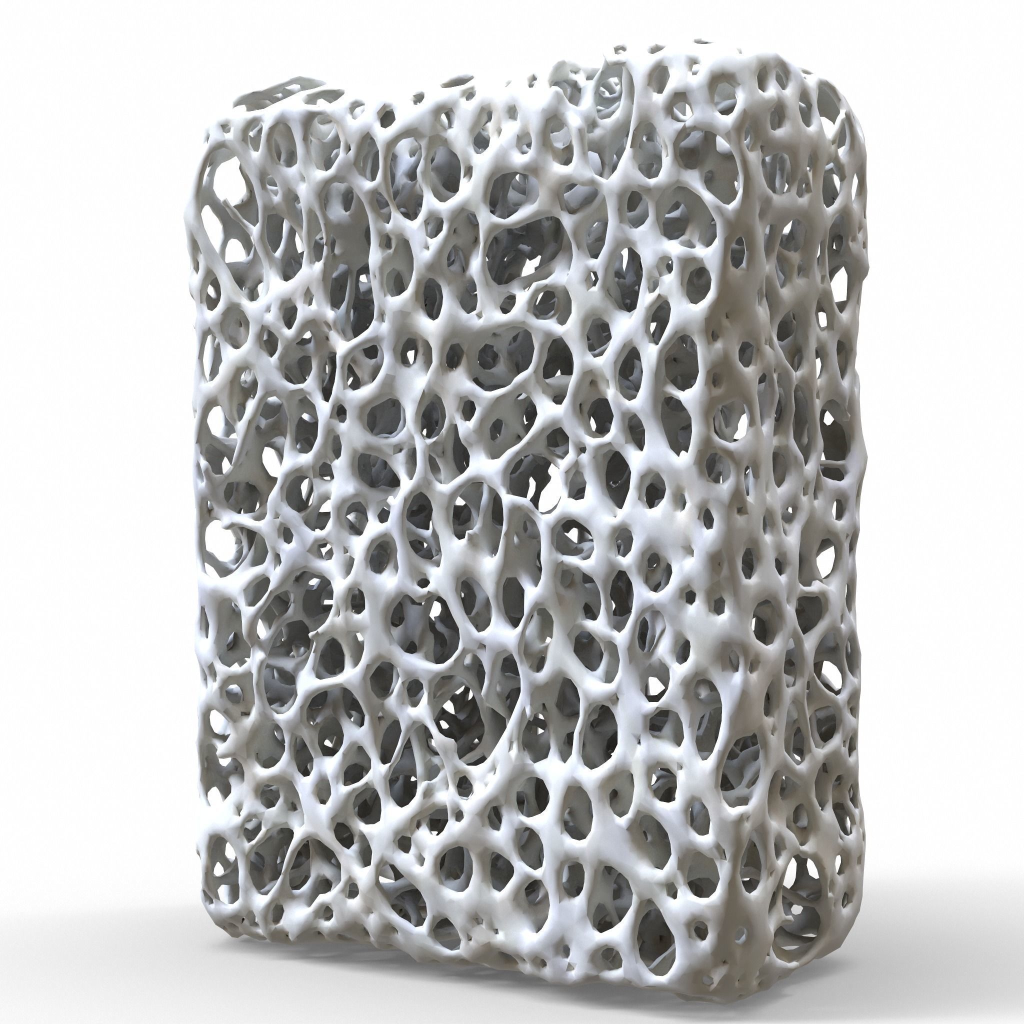 Bone Structure 3D model_3