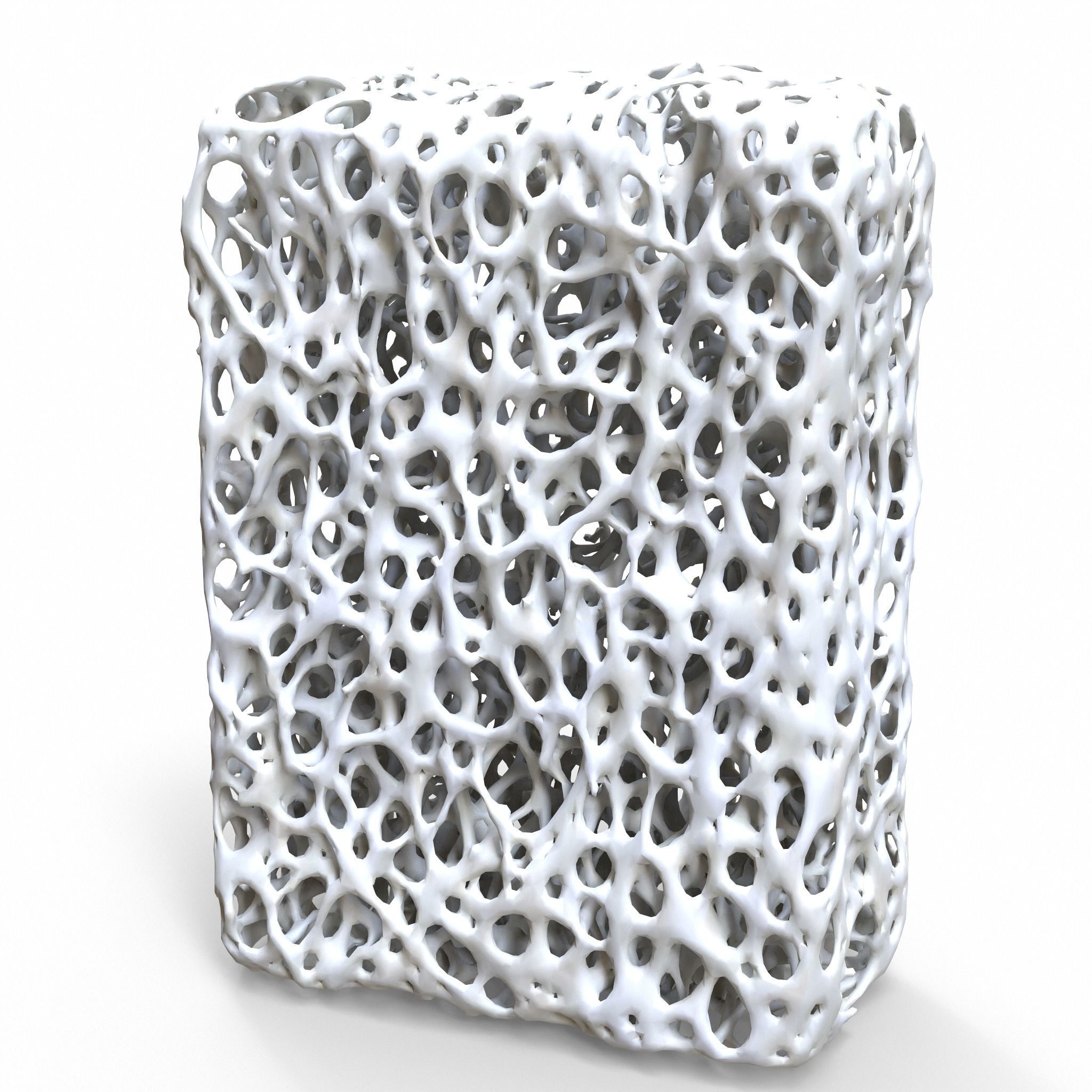 Bone Structure 3D model_1