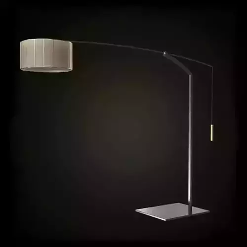 Modern Metallic Swivel Lamp