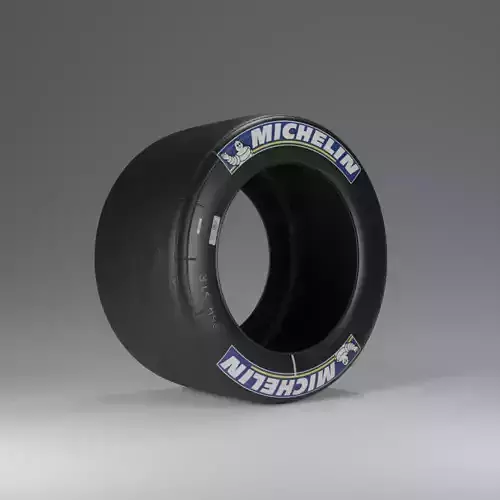 Michelin Tire - Slick Tire