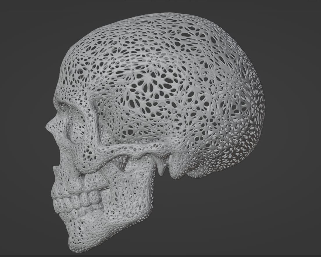 FILIGREE HUMAN SKULL 3D print model_1