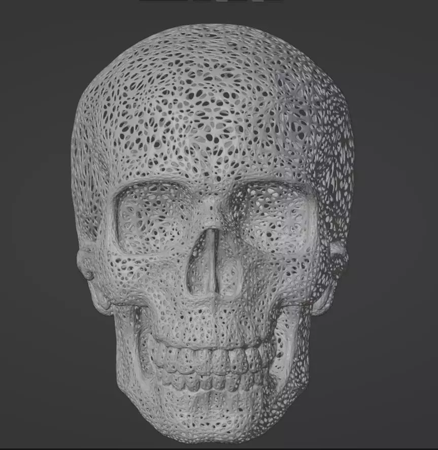 FILIGREE HUMAN SKULL 3D print model_0