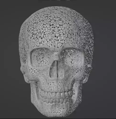 FILIGREE HUMAN SKULL