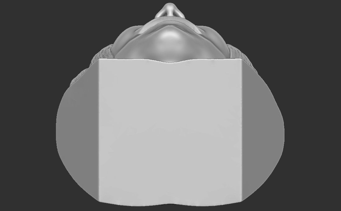 Mariah Carey bust for 3D printing 3D print model_29