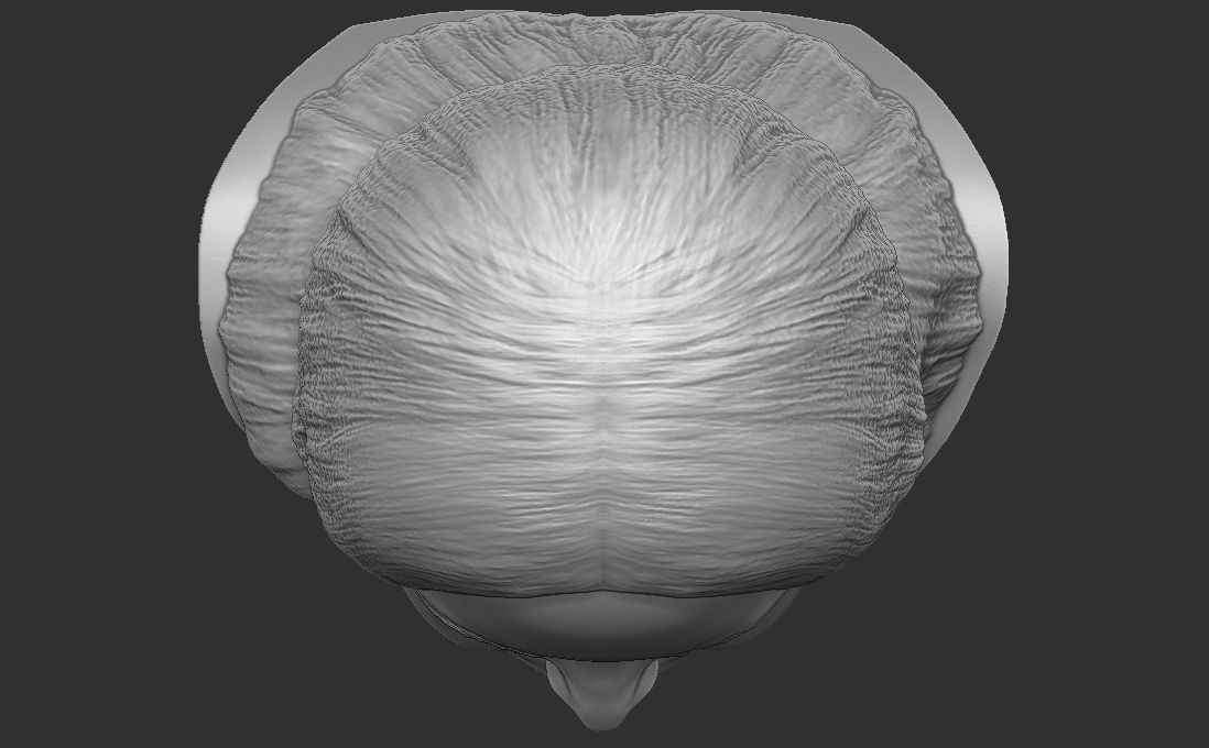 Mariah Carey bust for 3D printing 3D print model_26