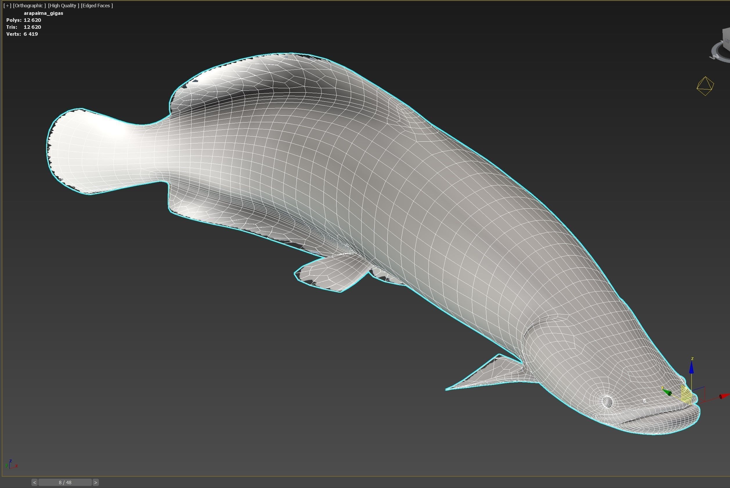 Fish Arapaima Gigas Low-poly 3D model_9