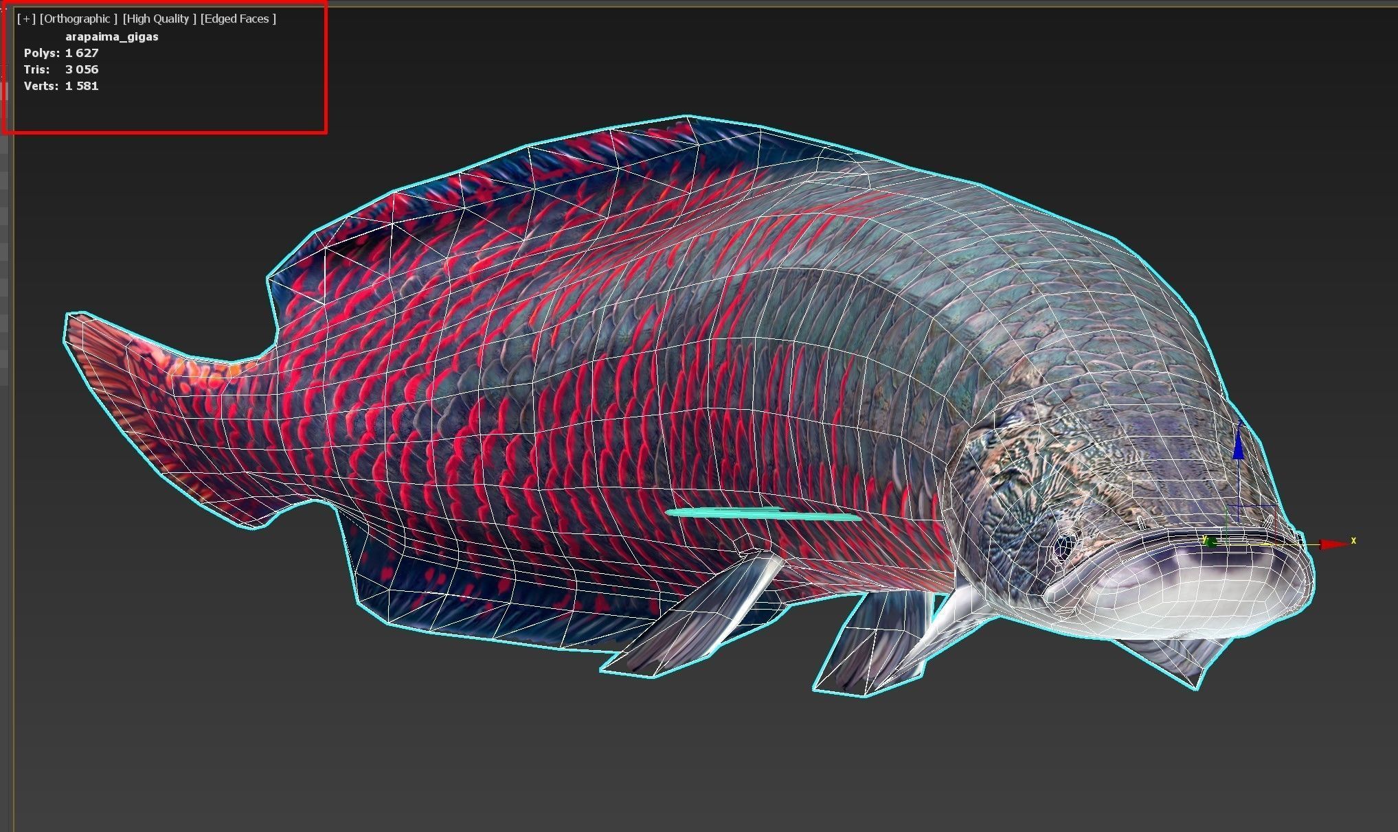 Fish Arapaima Gigas Low-poly 3D model_11
