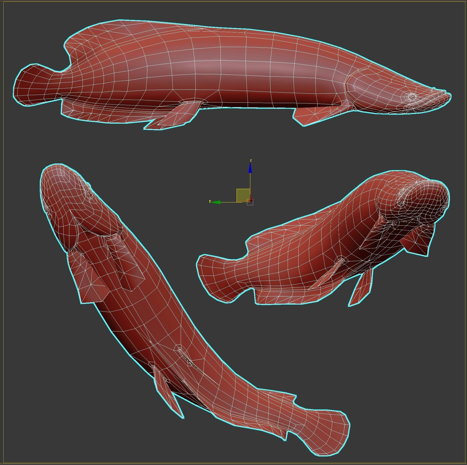 Fish Arapaima Gigas Low-poly 3D model_6