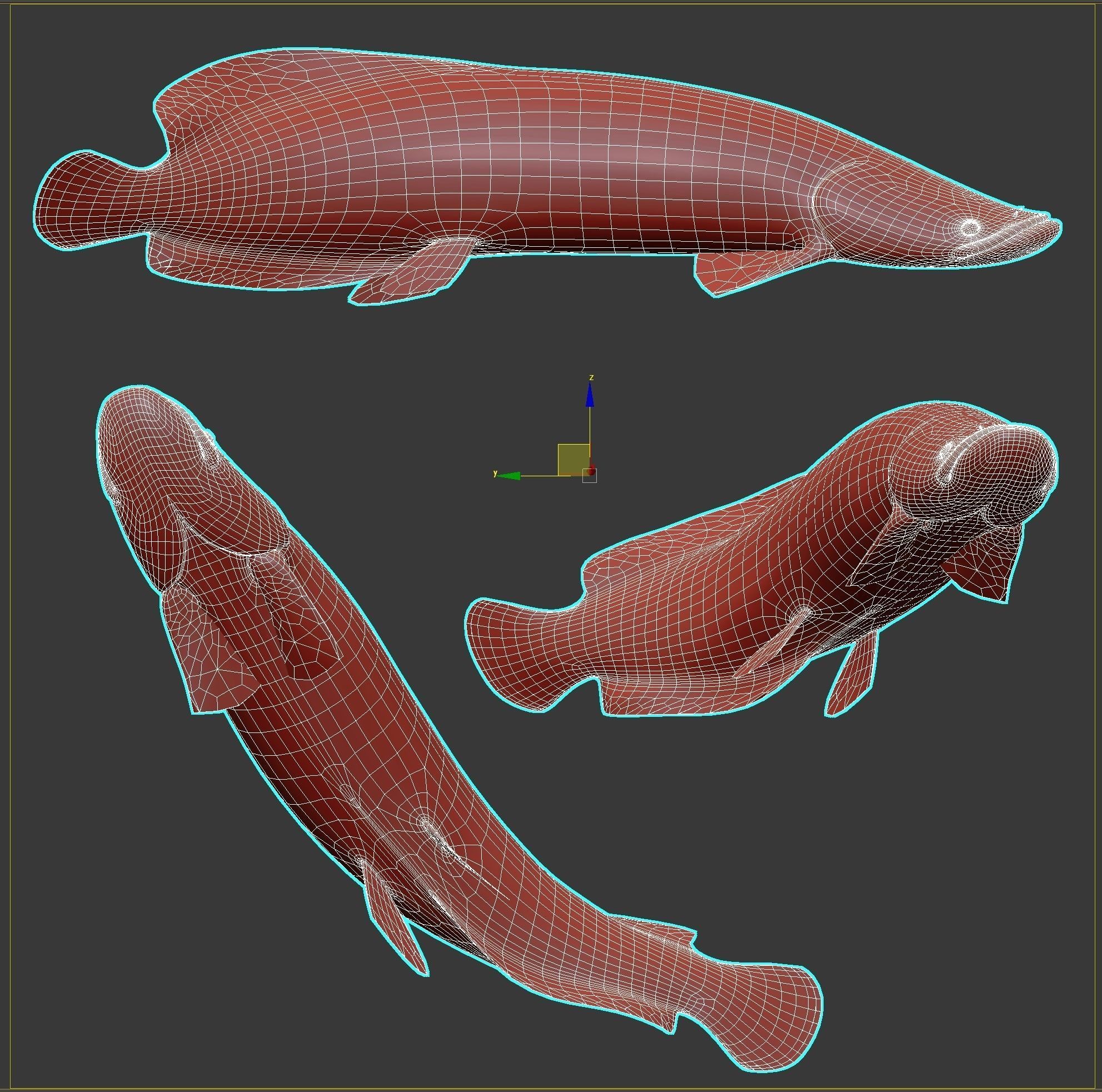 Fish Arapaima Gigas Low-poly 3D model_7