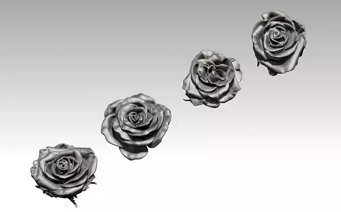 Flower Rose Set of 4 pcs 3D print model