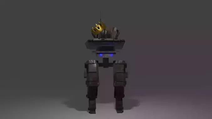 Detailed robot