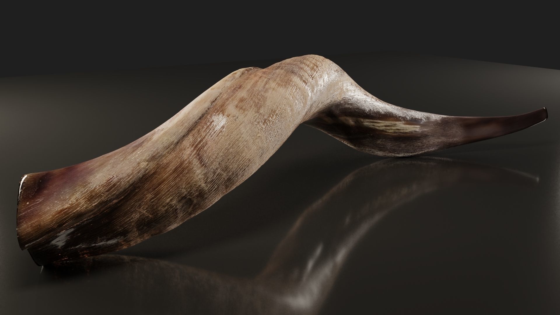 Kudu Shofar - Nanite Optimized 3D model_3