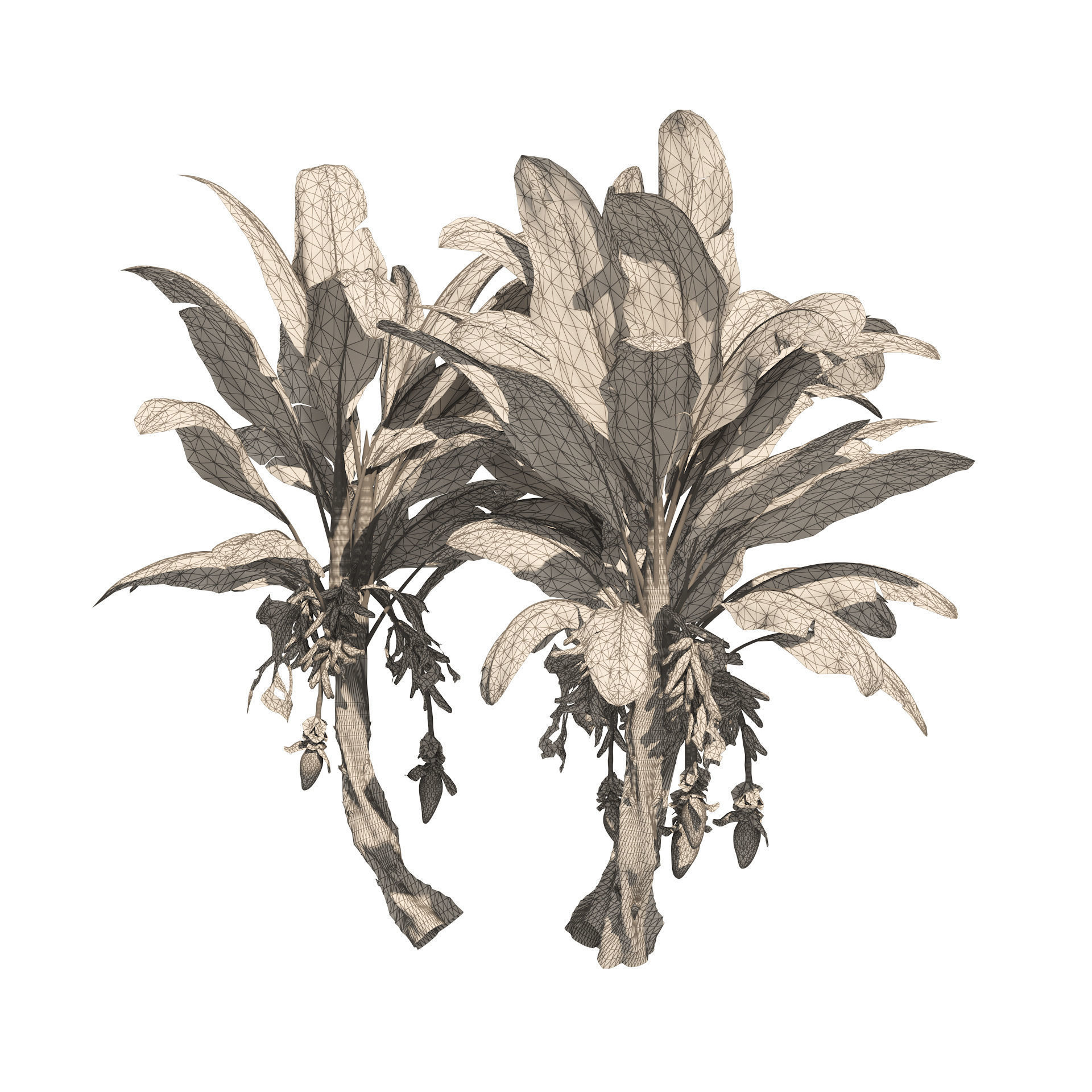Banana tree plant cluster Low-poly 3D model_5