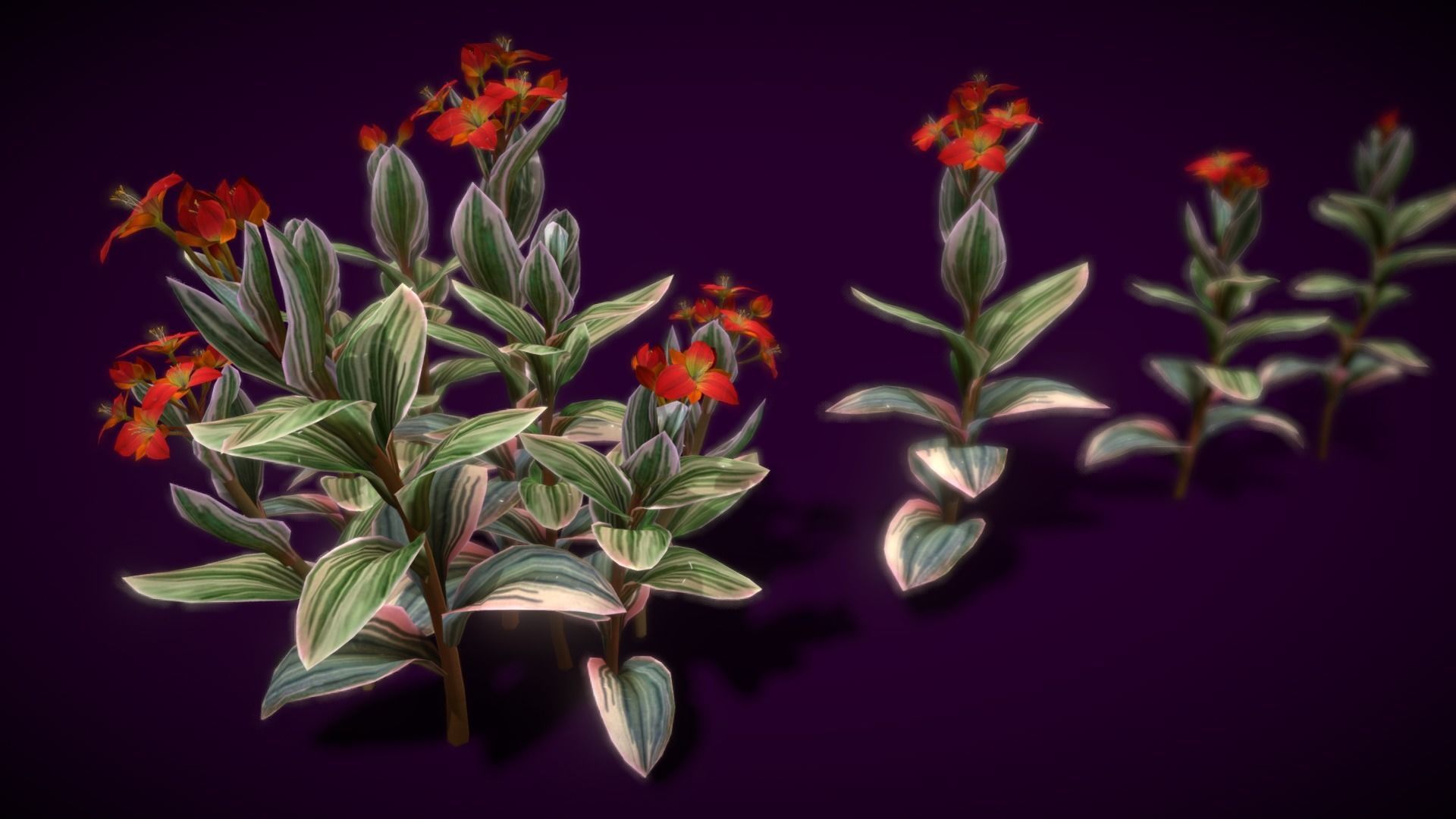 Flower Tradescantia Nanouk Low-poly 3D model_7