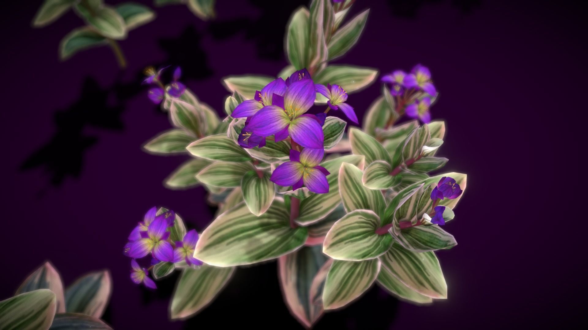 Flower Tradescantia Nanouk Low-poly 3D model_2