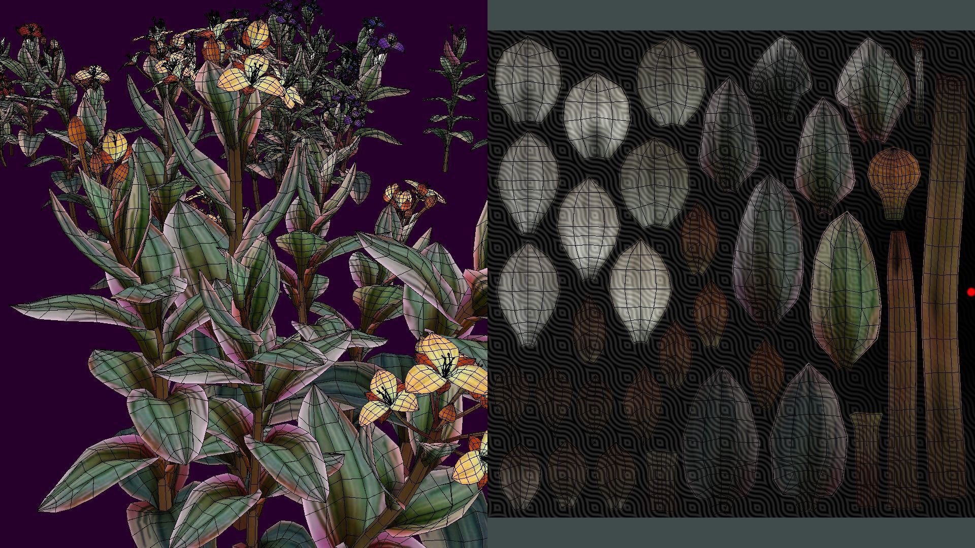 Flower Tradescantia Nanouk Low-poly 3D model_14