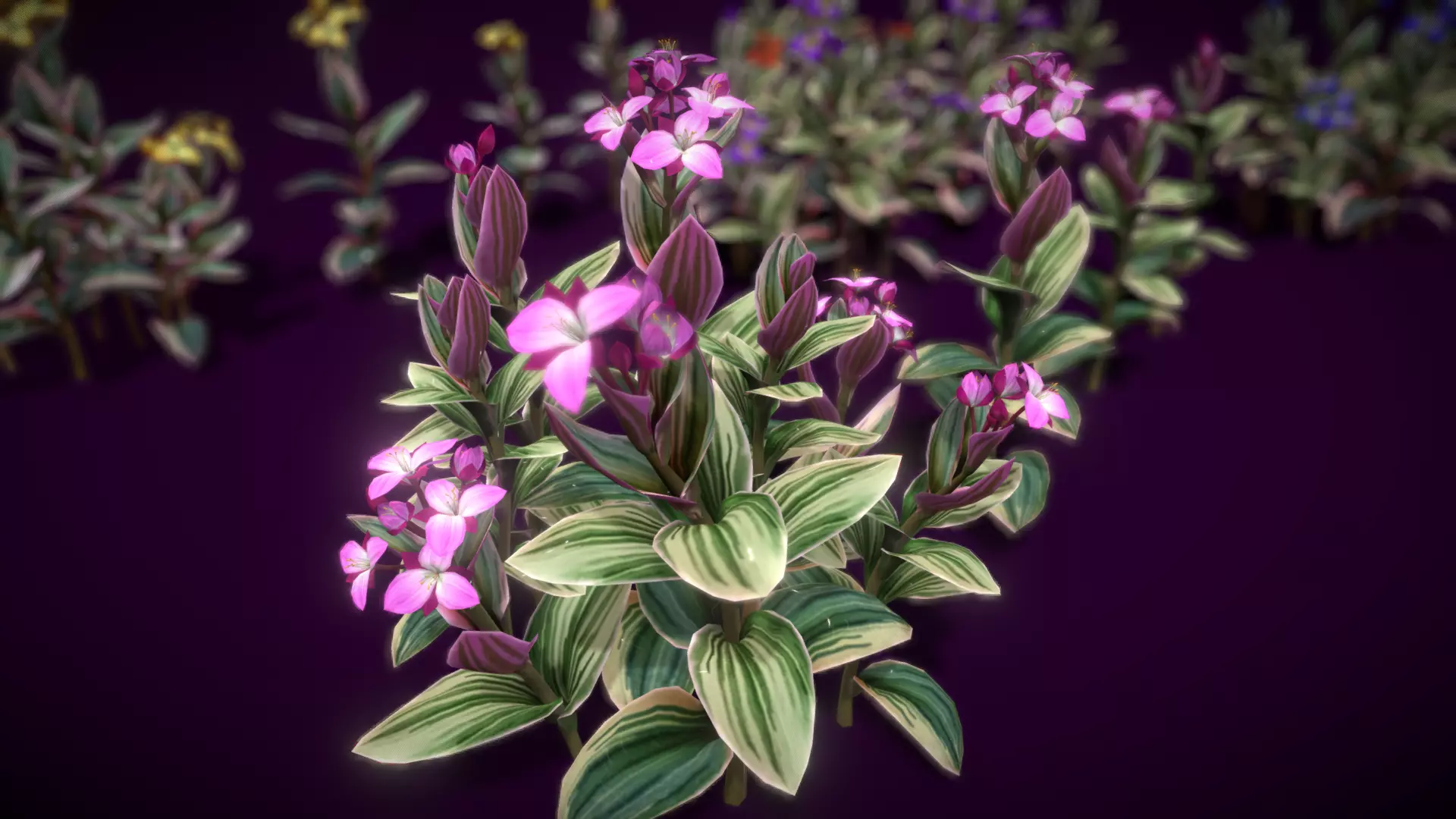 Flower Tradescantia Nanouk Low-poly 3D model_0
