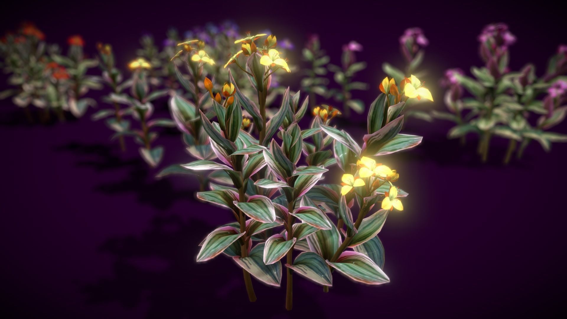 Flower Tradescantia Nanouk Low-poly 3D model_5