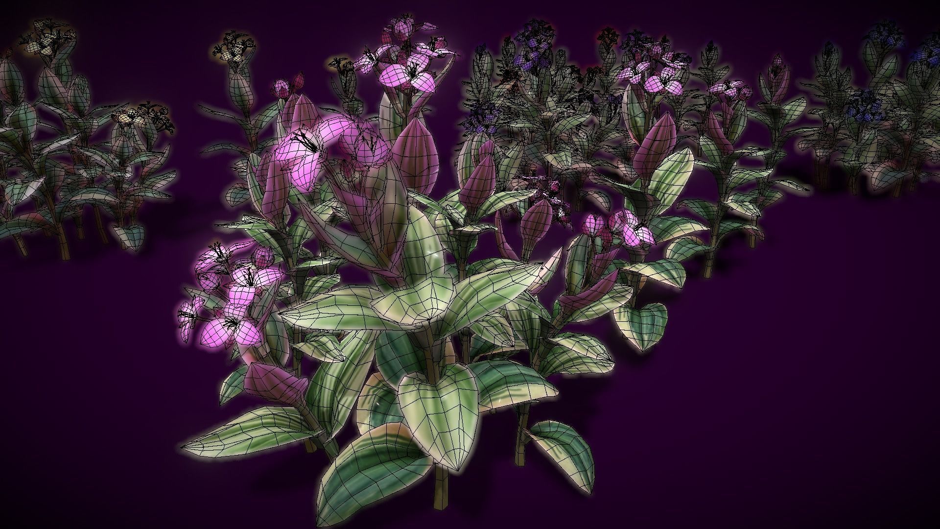 Flower Tradescantia Nanouk Low-poly 3D model_12