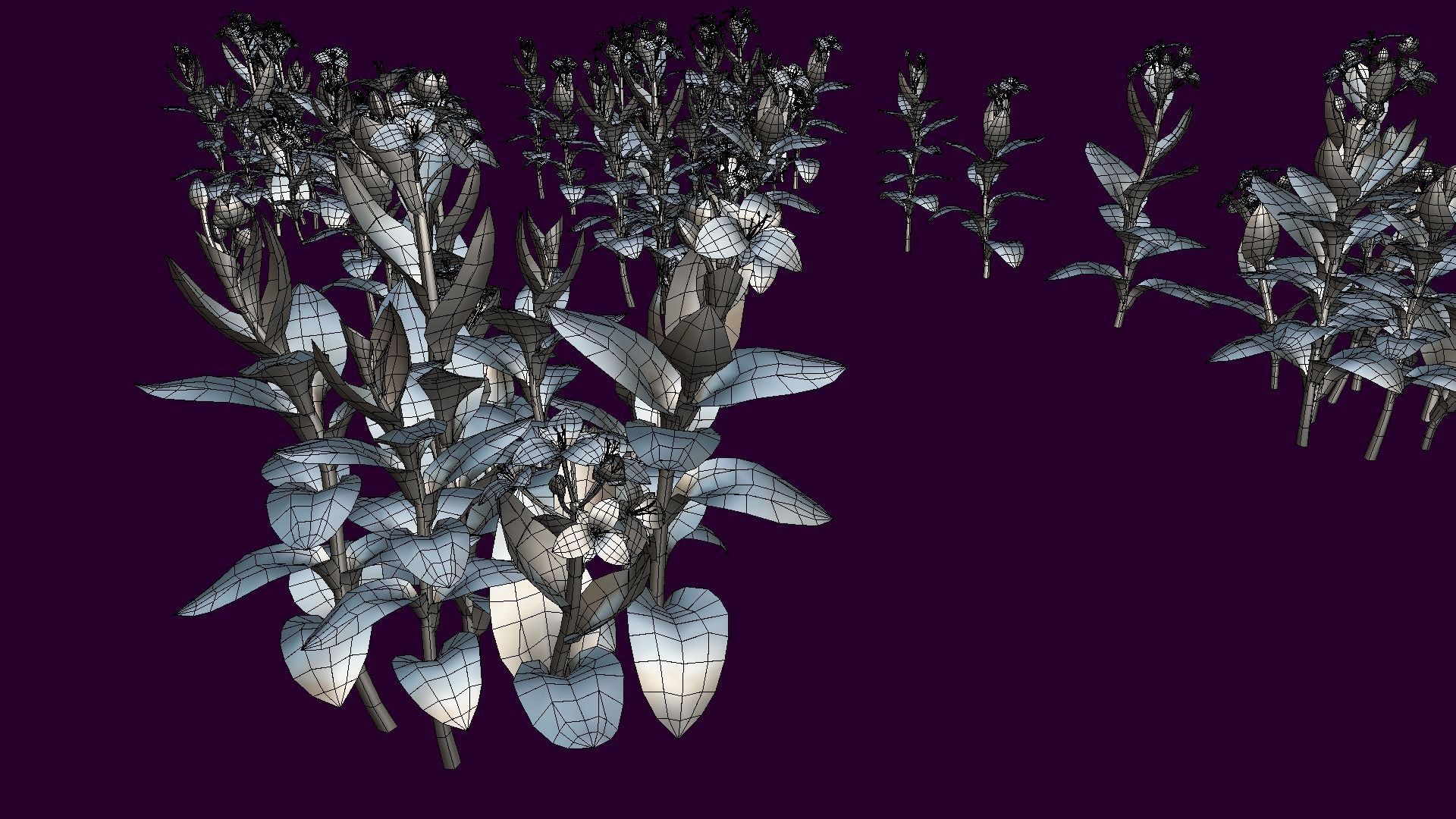 Flower Tradescantia Nanouk Low-poly 3D model_13
