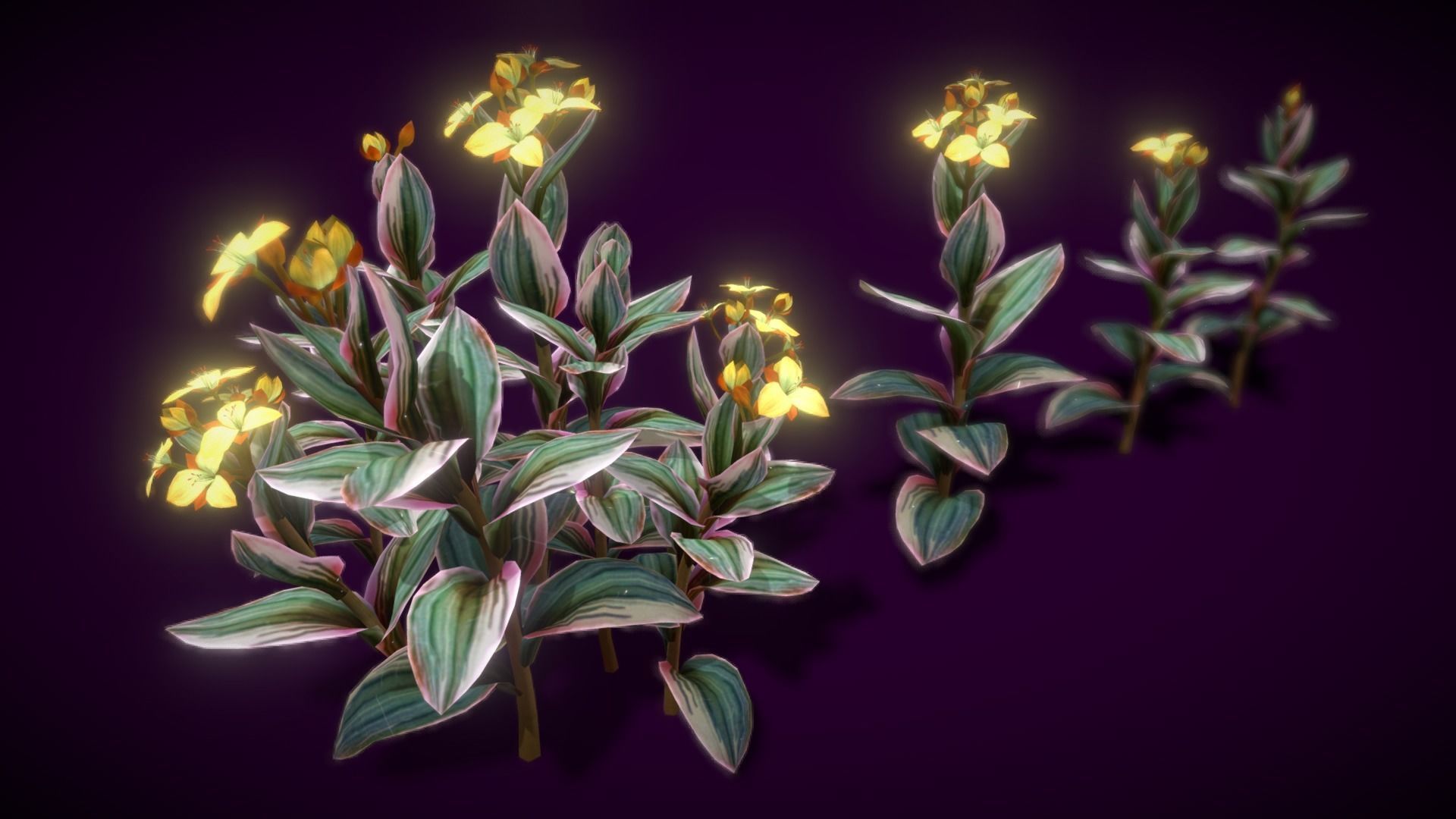 Flower Tradescantia Nanouk Low-poly 3D model_8