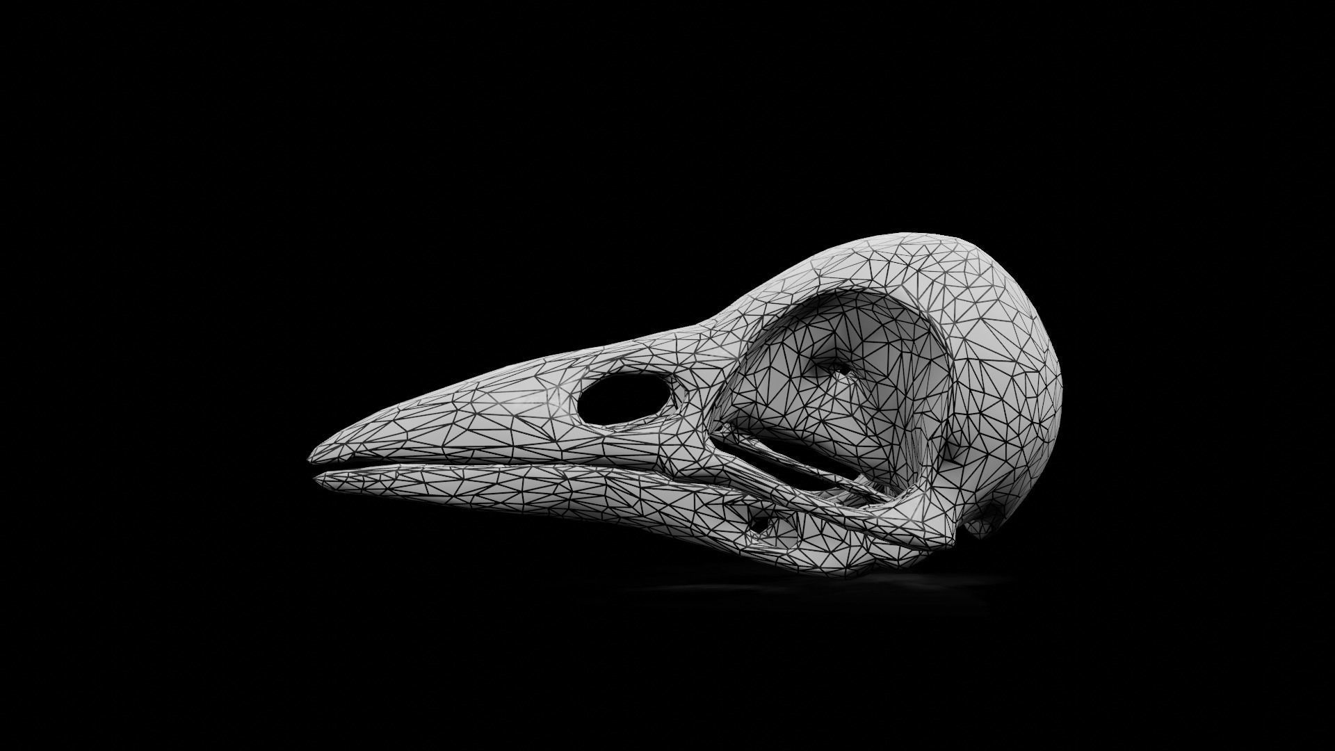 Crow low poly game ready skull Low-poly 3D model_10