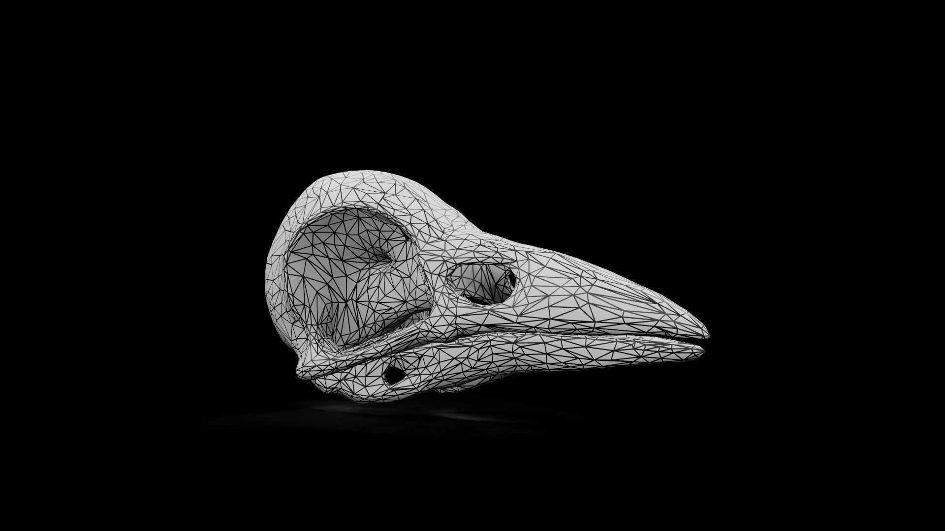 Crow low poly game ready skull Low-poly 3D model_12