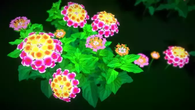 Flower Lantana