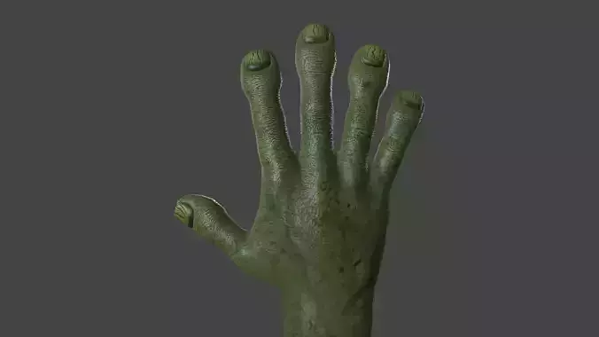 HAND-034 Rigged Right Hand