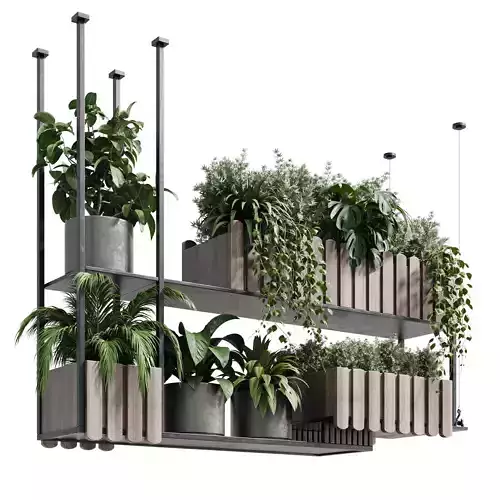 Hanging box potted plants 260 