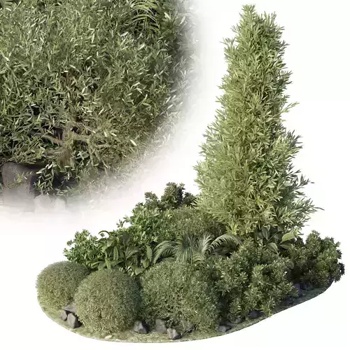 Garden set topiary and tropical plants - outdoor plant 3D model
