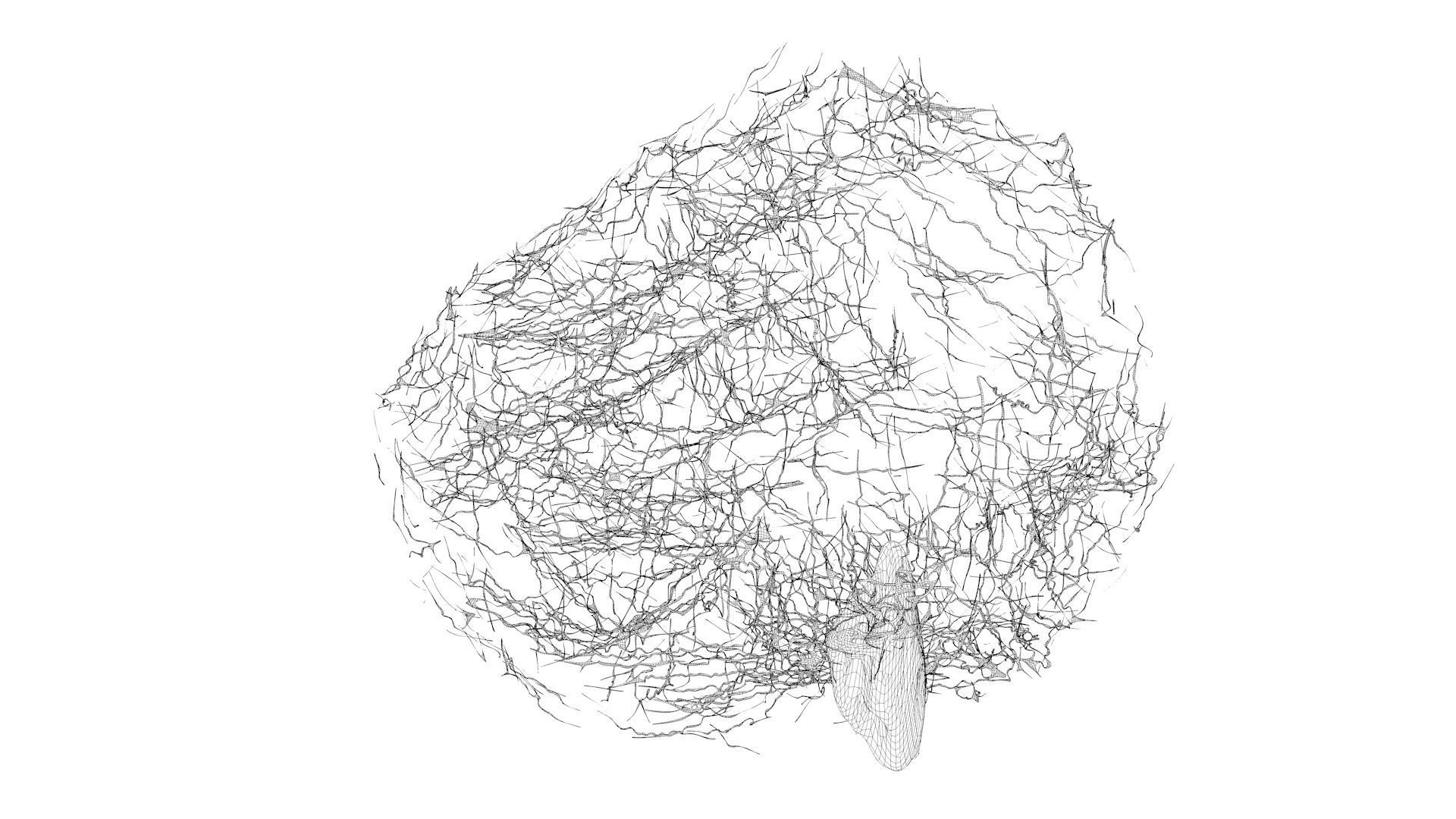 Cancer Cell 3D model_9