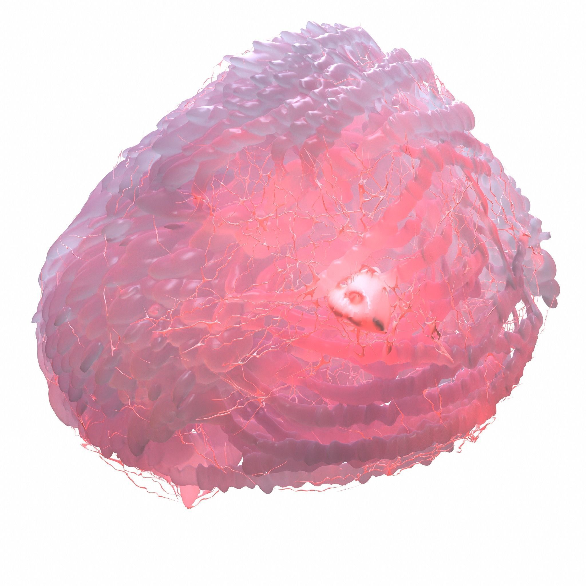 Cancer Cell 3D model_3